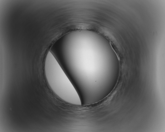 X0000090490305200707130935