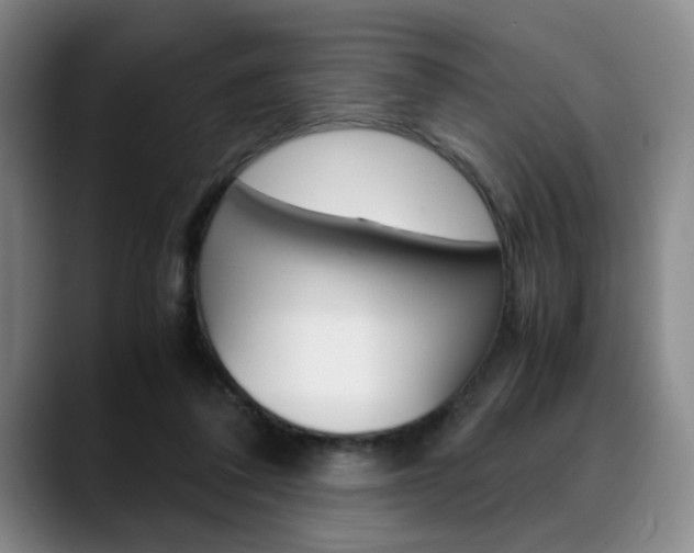 X0000090490308200707130935