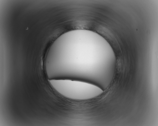 X0000090490310200707130935