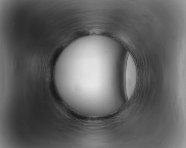 X0000090490311200707130935