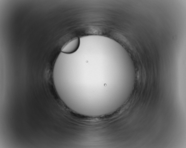 X0000090490322200707130935