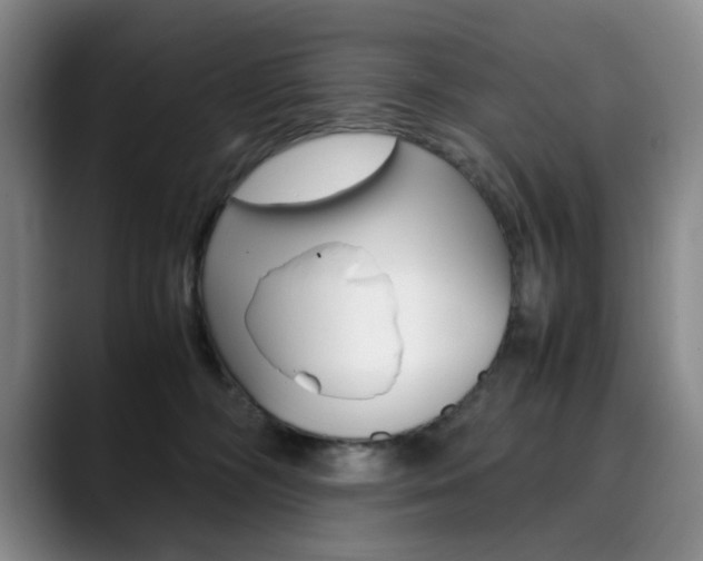 X0000090490326200707130935