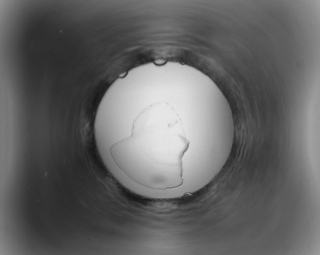 X0000090490327200707130935