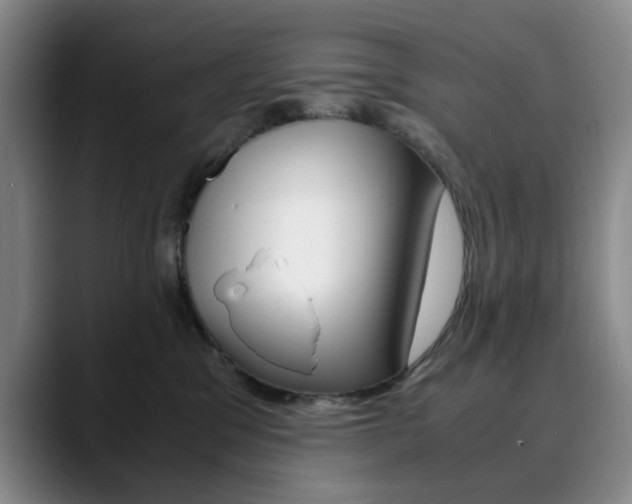 X0000090490329200707130935