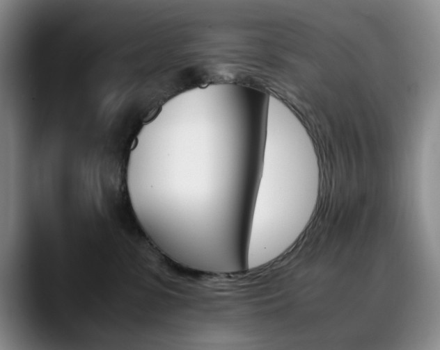 X0000090490331200707130935