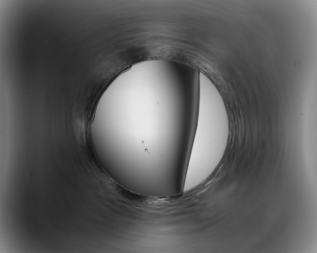 X0000090490333200707130935