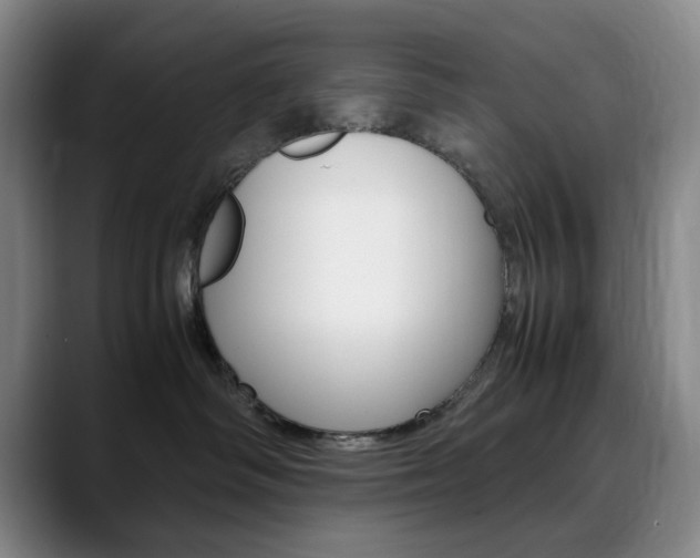 X0000090490334200707130935