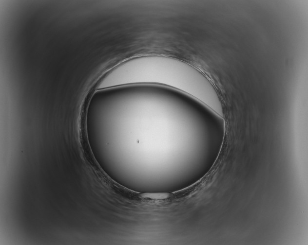 X0000090490340200707130935
