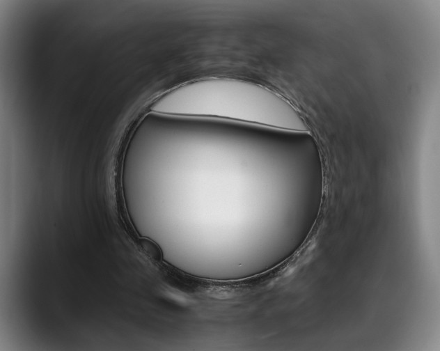 X0000090490341200707130935