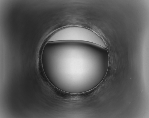 X0000090490344200707130935