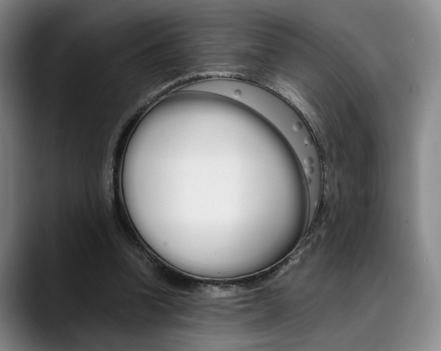 X0000090490346200707130935