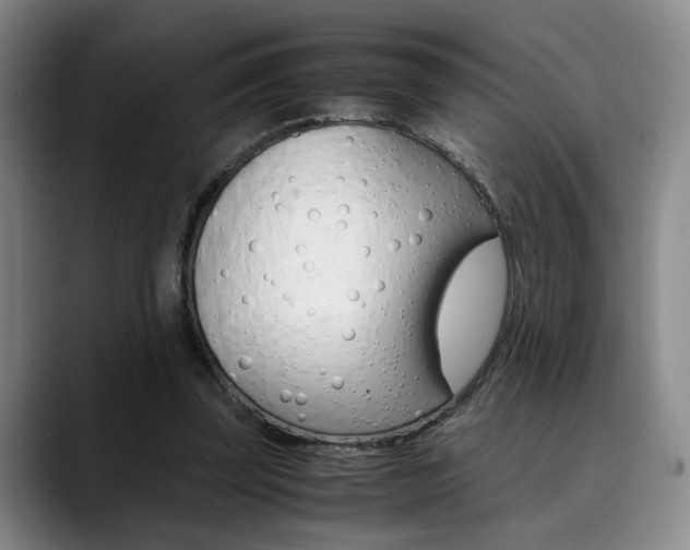 X0000090490347200707130935