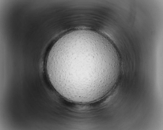 X0000090490351200707130935