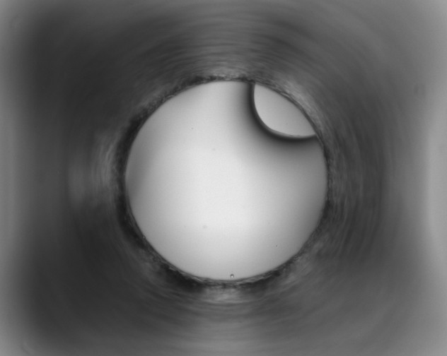 X0000090490354200707130935