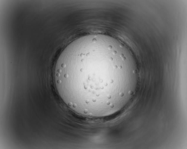 X0000090490359200707130935