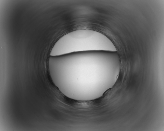 X0000090490381200707130935