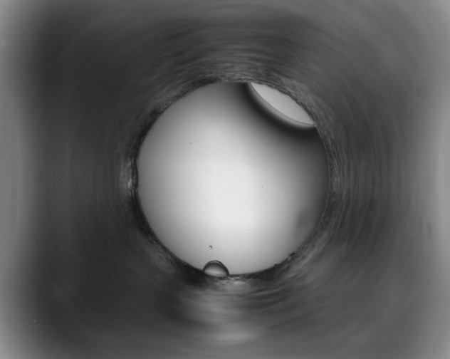X0000090490383200707130935