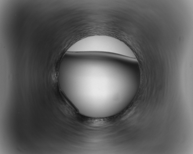 X0000090490384200707130935