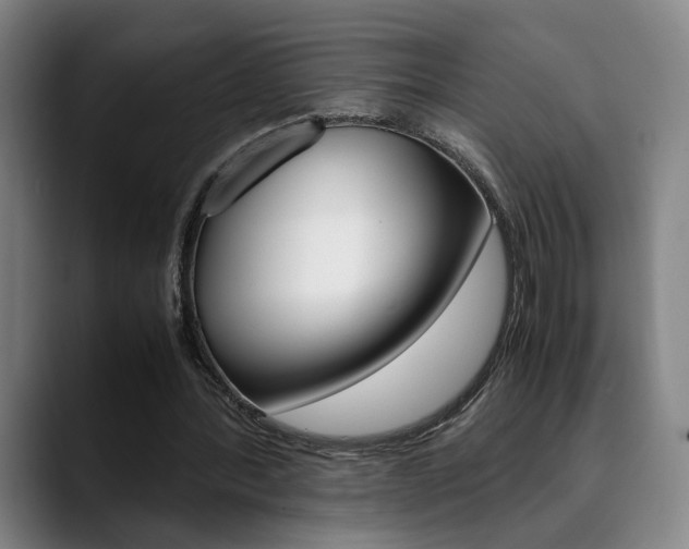 X0000090490388200707130934