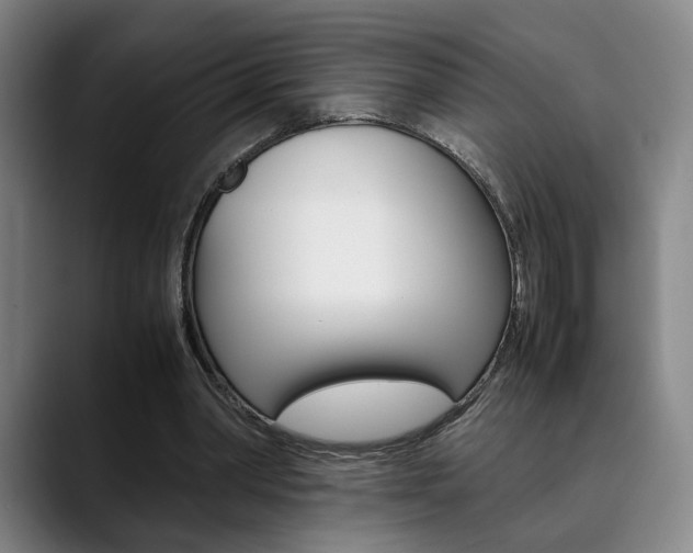 X0000090490390200707130934