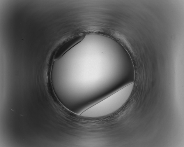 X0000090490395200707130934