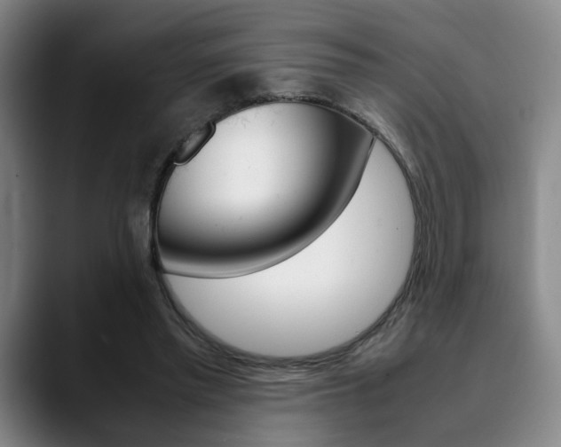 X0000090490397200707130934