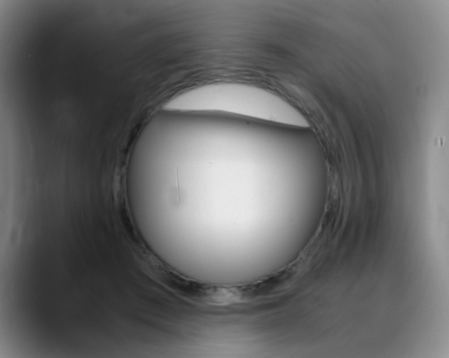 X0000090490409200707130934
