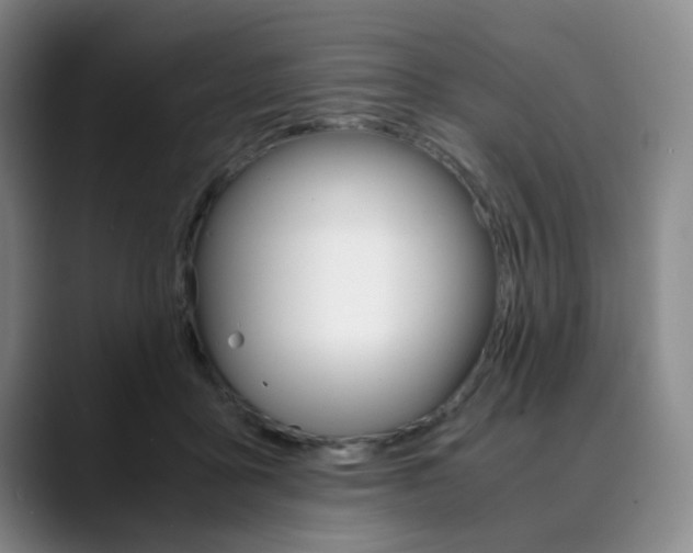 X0000090490411200707130934