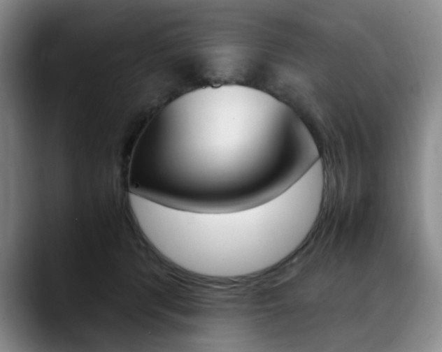 X0000090490416200707130934