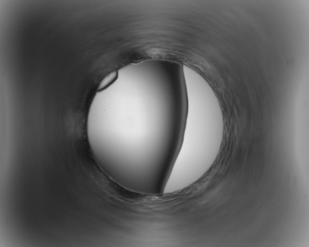 X0000090490421200707130934