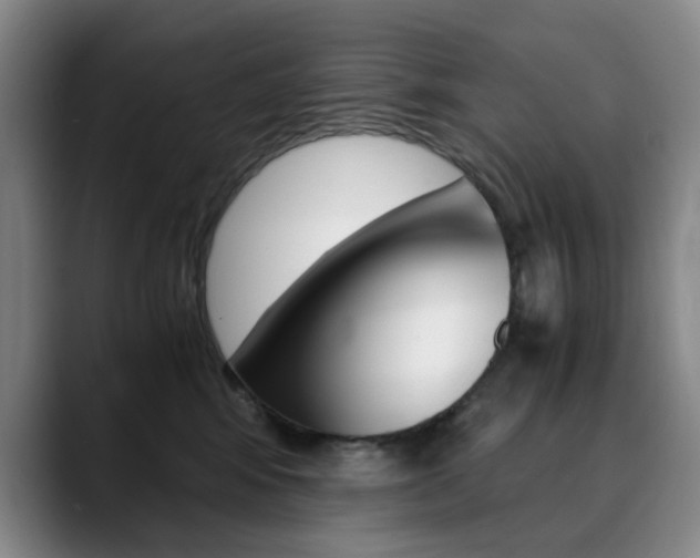 X0000090490424200707130934