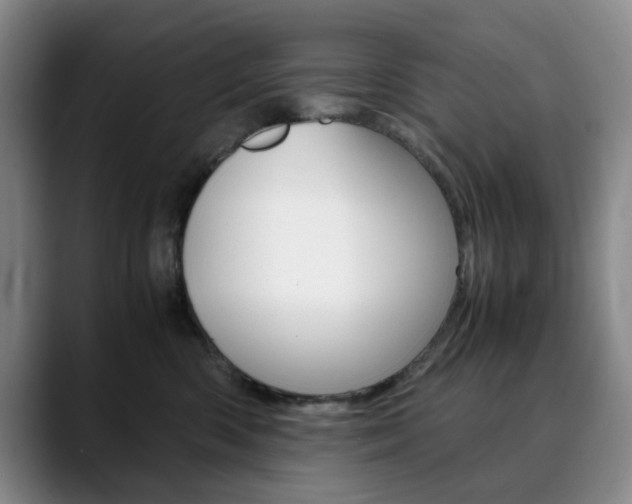 X0000090490426200707130934