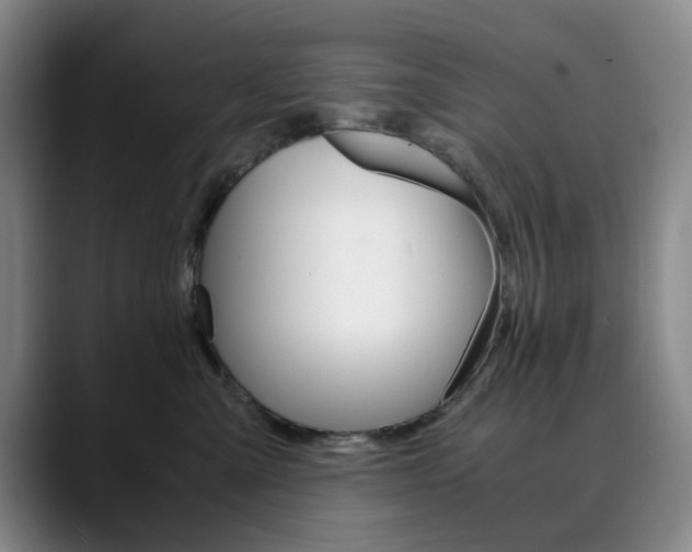 X0000090490427200707130934
