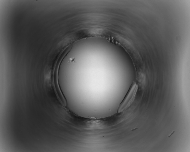 X0000090490428200707130934