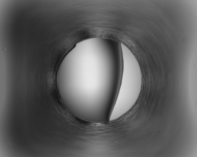 X0000090490429200707130934