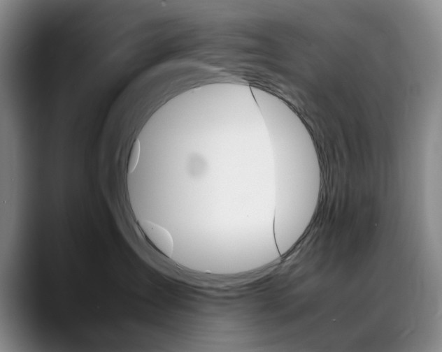X0000090490431200707130934