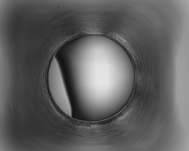 X0000090490433200707130933