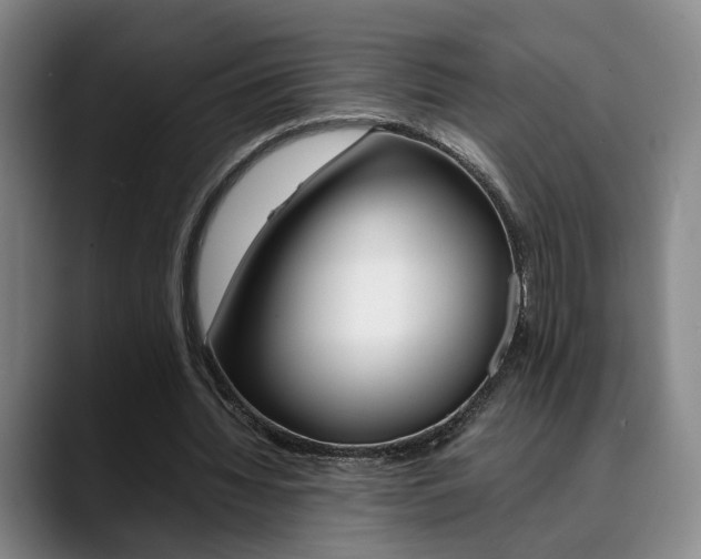 X0000090490436200707130933