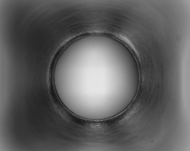 X0000090490439200707130933