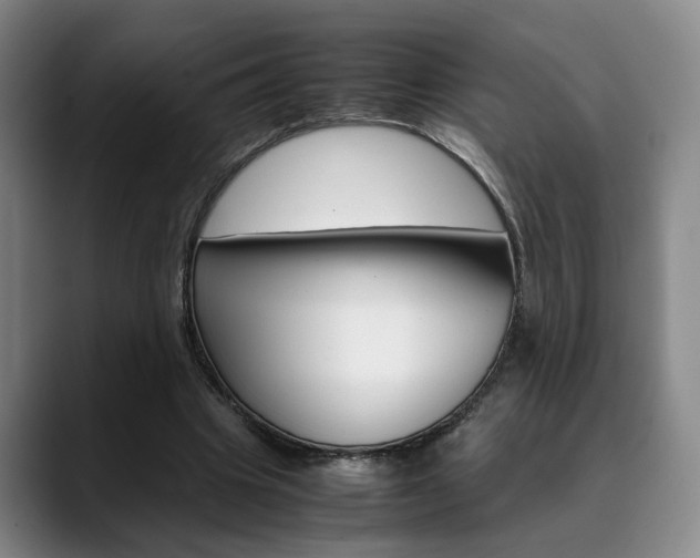 X0000090490441200707130933