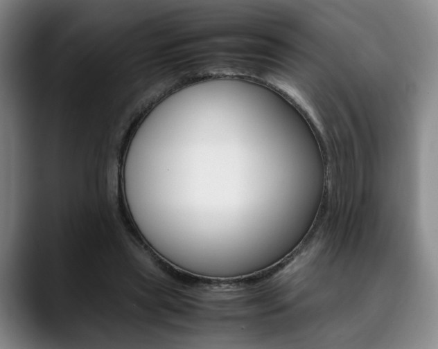 X0000090490445200707130934
