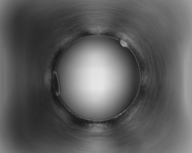 X0000090490448200707130934