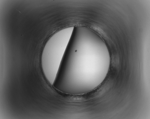 X0000090490449200707130934