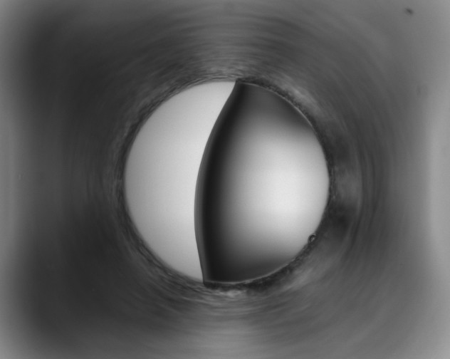 X0000090490450200707130934