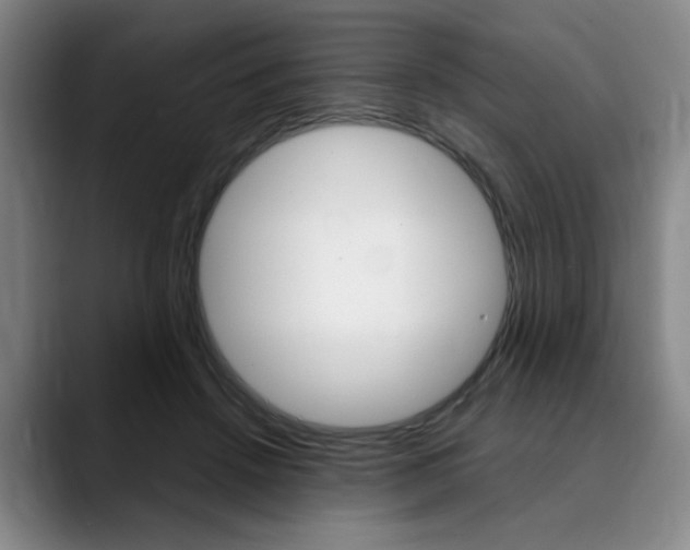 X0000090490456200707130934