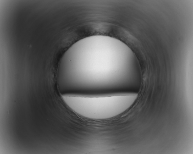 X0000090490464200707130934