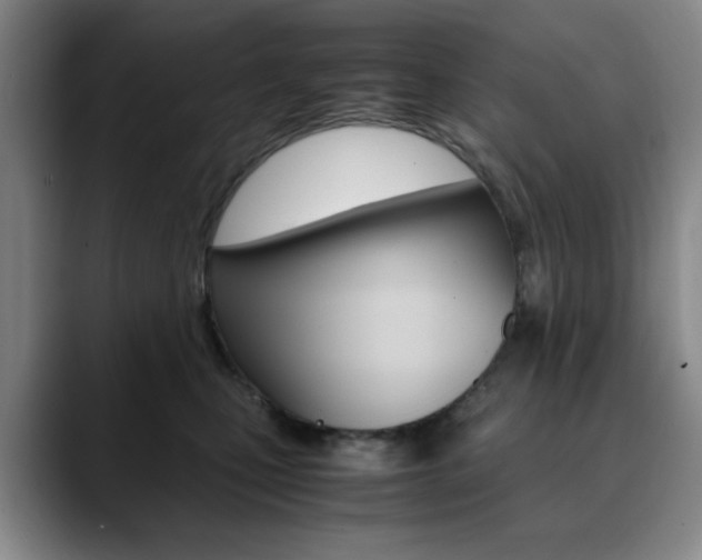 X0000090490471200707130934