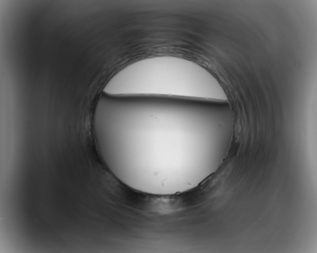 X0000090490473200707130934