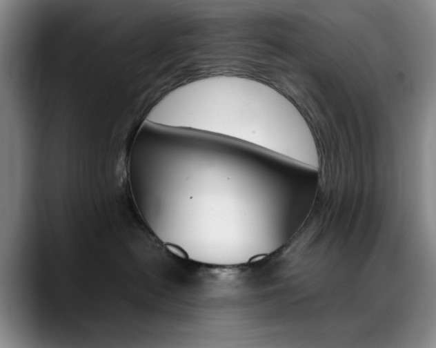 X0000090490478200707130934