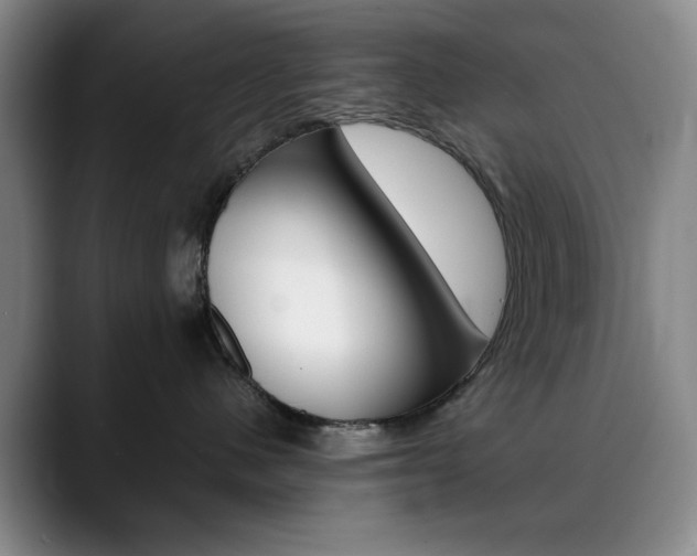 X0000090490480200707130934